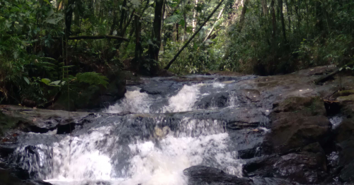 Gruta Cachoeira Da Moralogia Mogi Das Cruzes SP Caminhada Vou