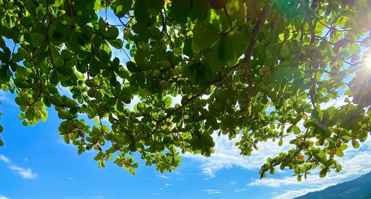 Ilhabela