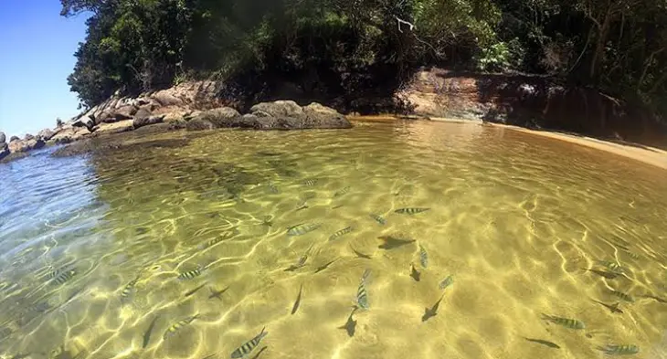 Ubatuba