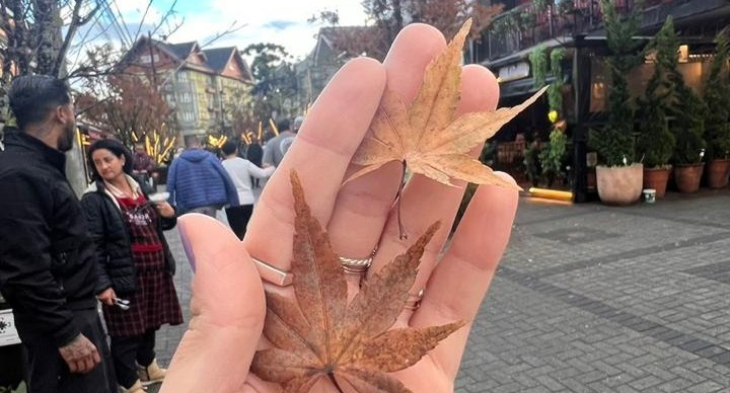 Campos do Jordão