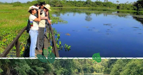 Pantanal com Bodoquena Ms 