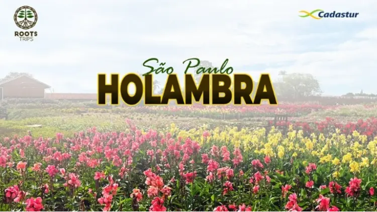 Holambra - Cidade das Flores SP