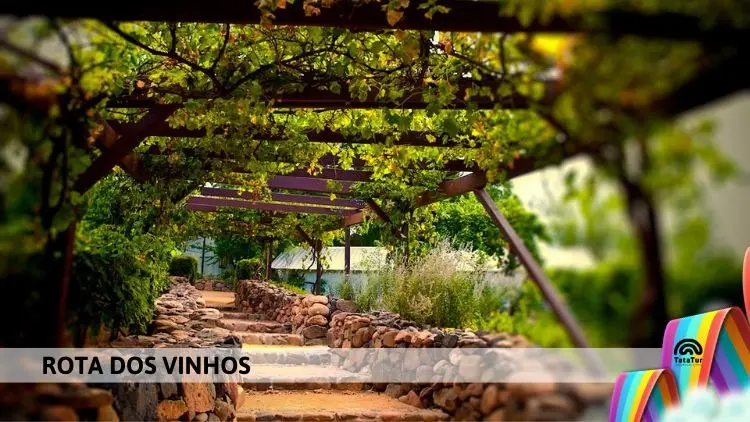 SÃO ROQUE - ROTA DOS VINHOS