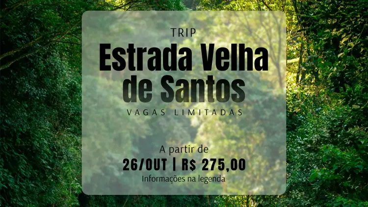 Estrada Velha de Santos